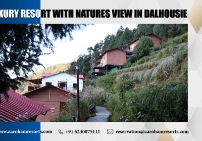 Luxury Resort With Natures View in Dalhousie