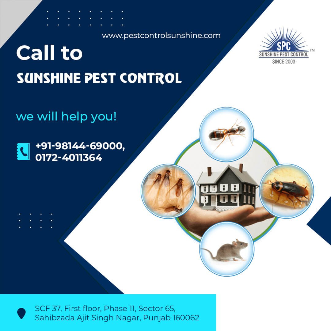 Deemak treatment company in mohali