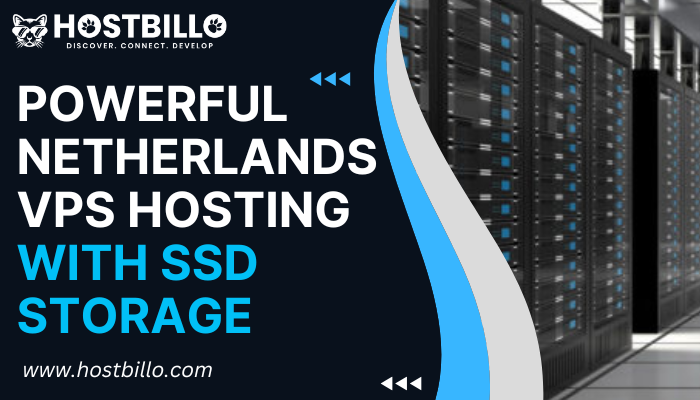 Powerful Netherlands VPS Hosting with SSD Storage