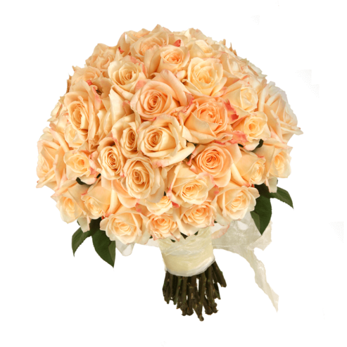 Are you looking for Bulk Wedding Roses
