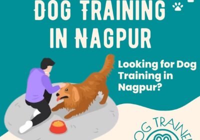 Dog-Training-in-Nagpur