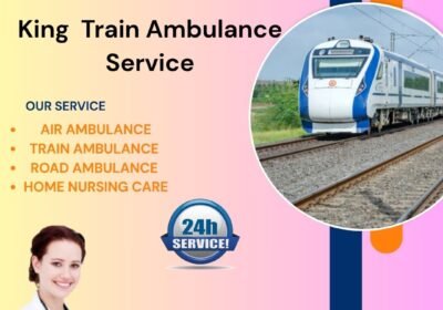 King-Train-Ambulance-Service-14