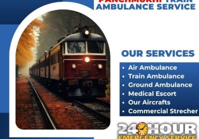 httpswww.panchmukhiairambulance.comwp-contentthemespanchmukhiimageslogo.png-1