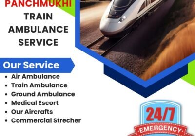 httpswww.panchmukhiairambulance.comwp-contentthemespanchmukhiimageslogo.png