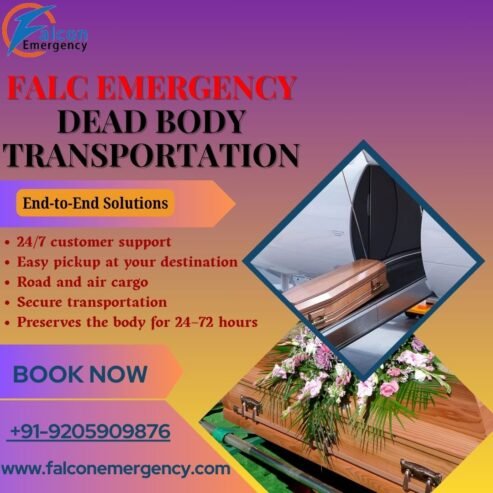 FALC Emergency Freezer Box transiting in Chennai-Take Advantage of a Fully Equipped Service