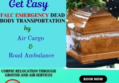 Copy-of-Copy-of-Medivic-TRAIN-AMBULANCE-SERVICE-2