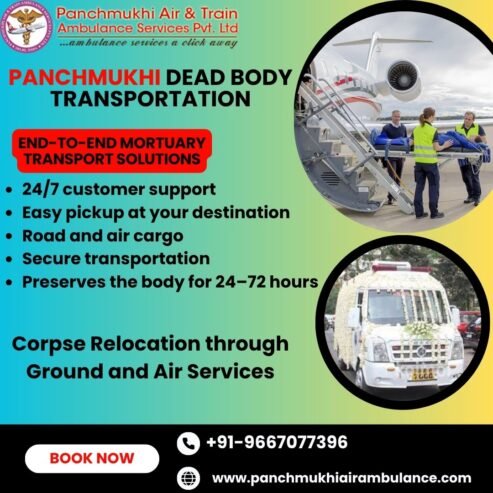 Panchmukhi Freezer Box Transportation in Varanasi – Take Advantage of a Fully Equipped Service