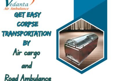 Get-Easy-Corpse-Transportation-By-10-1