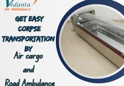 Get-Easy-Corpse-Transportation-By-11-1