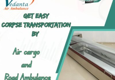 Get-Easy-Corpse-Transportation-By-13