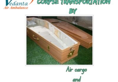 Get-Easy-Corpse-Transportation-By-16