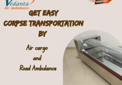 Get-Easy-Corpse-Transportation-By-17
