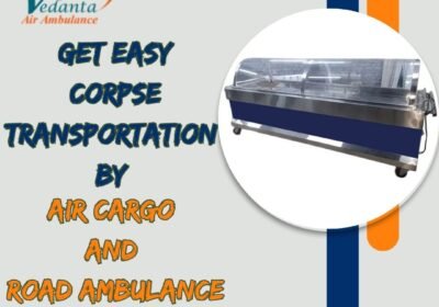 Get-Easy-Corpse-Transportation-By-19-1