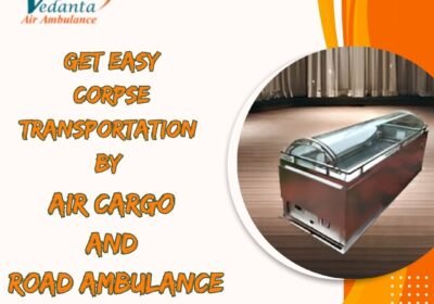 Get-Easy-Corpse-Transportation-By-20-2