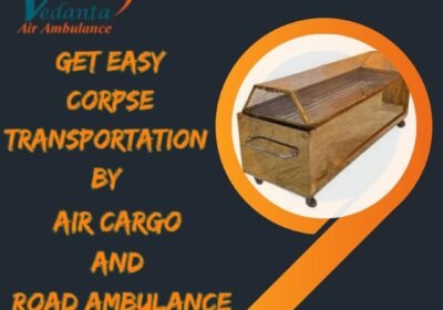 Get-Easy-Corpse-Transportation-By-21
