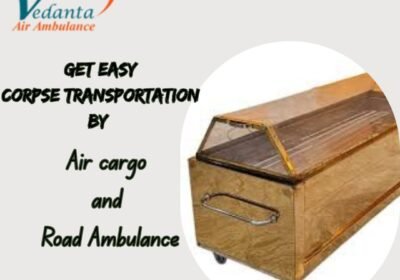 Get-Easy-Corpse-Transportation-By-22