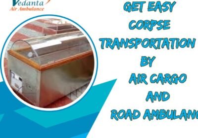 Get-Easy-Corpse-Transportation-By-23