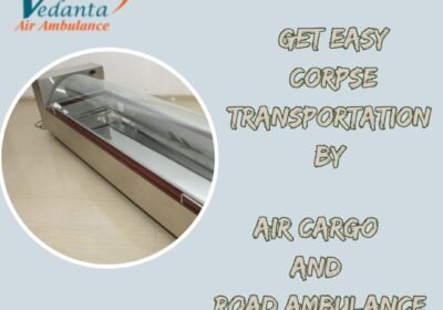 Get-Easy-Corpse-Transportation-By-6
