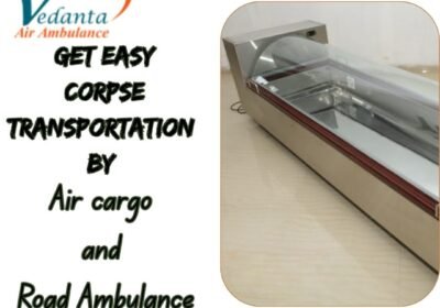 Get-Easy-Corpse-Transportation-By-9