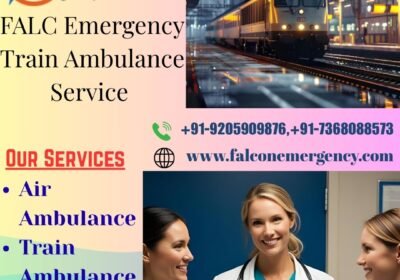 King-Train-Ambulance-Service-1