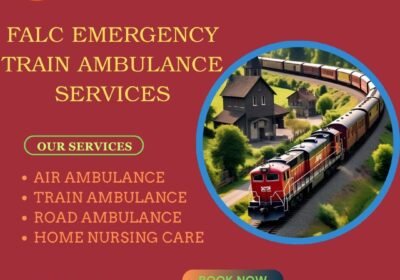 Vaccination-Professional-Doctor-Emergency-Service-General-Checkup