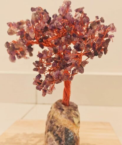 Shop Premium Healing Crystals, Amethyst Geodes & Chakra Trees Online – Crystal Studio by Cyaaraa