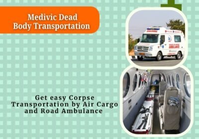 bodies-transportaion-1